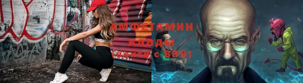 шишки Баксан