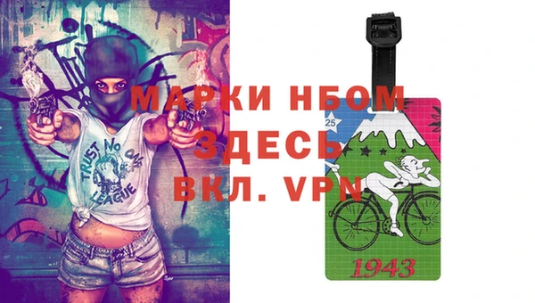 шишки Баксан