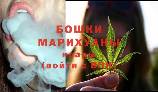 шишки Баксан